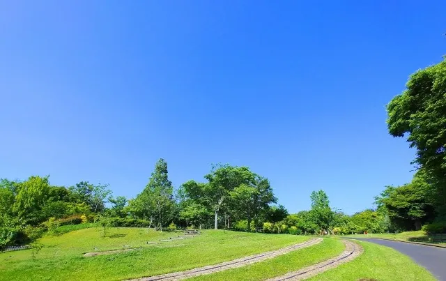 ドライバーヘルスケアを実践するための松江市で役立つ健康管理とリフレッシュ法